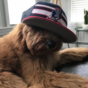 Meet your Posher, Gregg